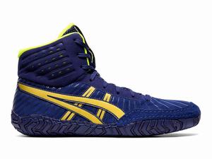 Chaussures De Lutte Asics Aggressor 4 Homme Bleu Doré Marron | IPC-320796