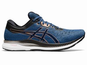 Chaussures Running Asics EvoRide Homme Grise Foncé | CNS-921706