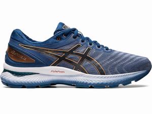 Chaussures Running Asics GEL-NIMBUS 22 (2E) Homme Grise | HRD-218956