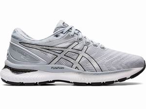 Chaussures Running Asics GEL-NIMBUS 22 Homme Blanche Argent | CMP-863079