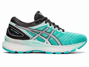 Chaussures Running Asics GEL-NIMBUS LITE Femme Argent | NHW-790648