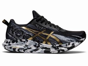 Chaussures Running Asics NOOSA TRI 13 Femme Noir Doré | FEQ-507243