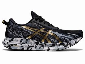 Chaussures Running Asics NOOSA TRI 13 Homme Noir Doré | TDX-920837