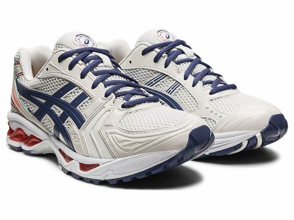 Baskets Asics GEL-KAYANO 14 Homme Grise Bleu | MPN-462815