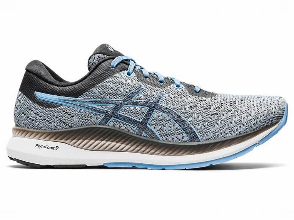 Chaussures Running Asics EvoRide Femme Bleu | MUN-798354