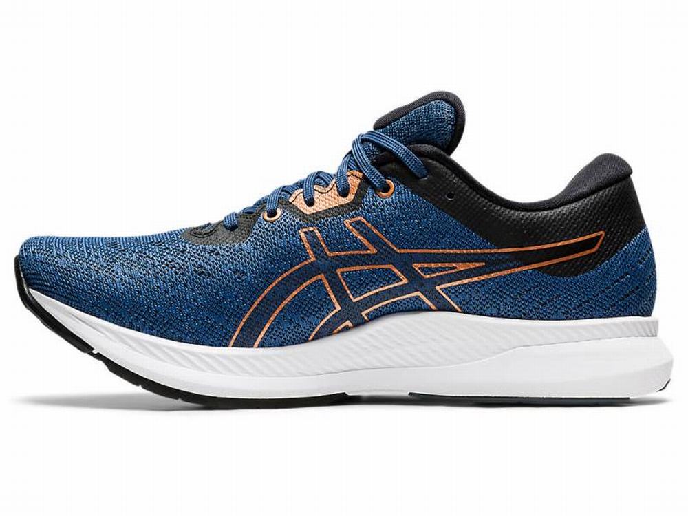 Chaussures Running Asics EvoRide Homme Grise Foncé | CNS-921706