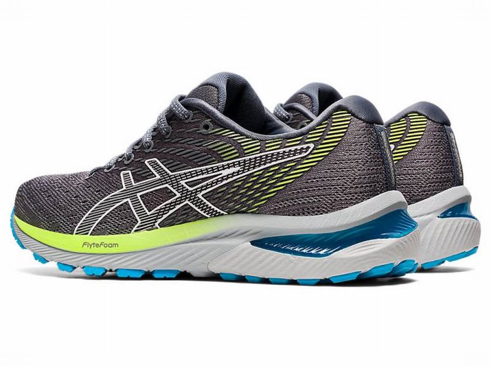 Chaussures Running Asics GEL-CUMULUS 22 Femme Argent | LHW-947065