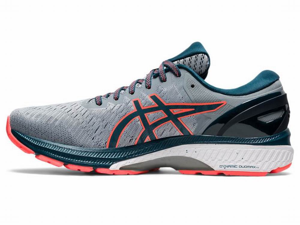 Chaussures Running Asics GEL-KAYANO 27 (2E) Homme Grise | TOZ-581326