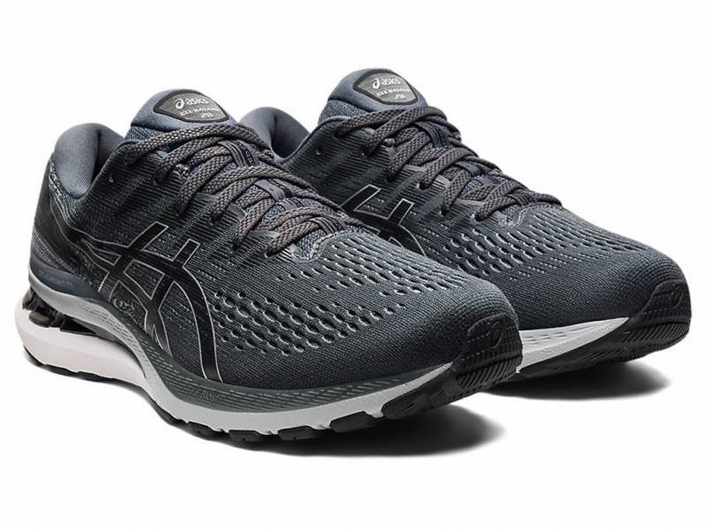 Chaussures Running Asics GEL-KAYANO 28 (2E) Homme Noir Grise | TKM-469387