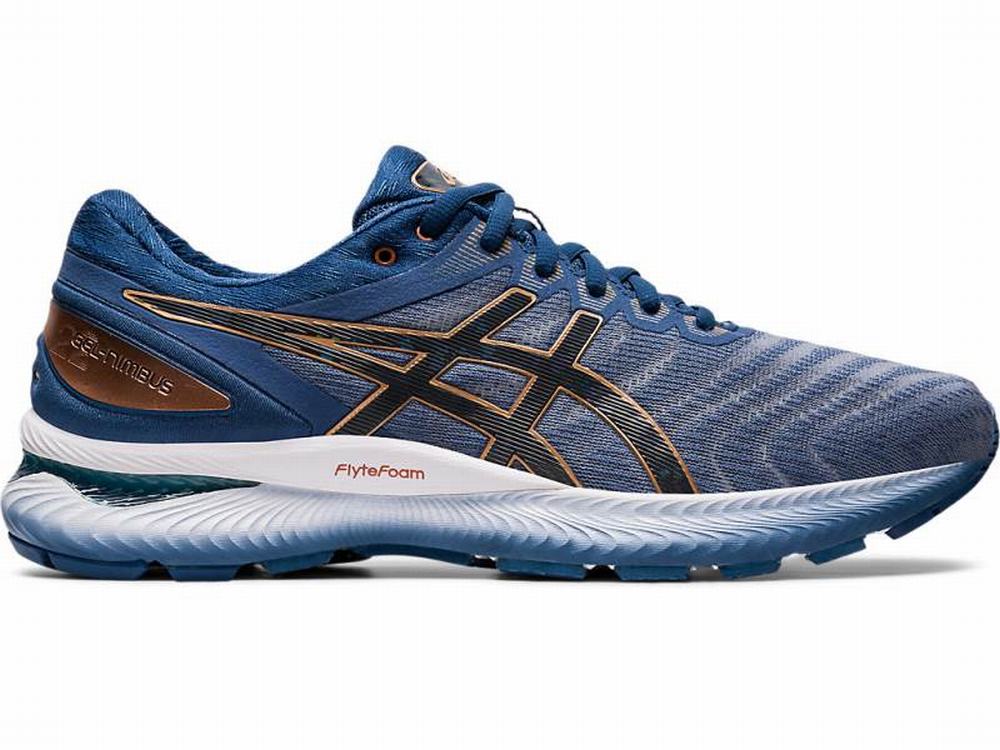 Chaussures Running Asics GEL-NIMBUS 22 (2E) Homme Grise | HRD-218956