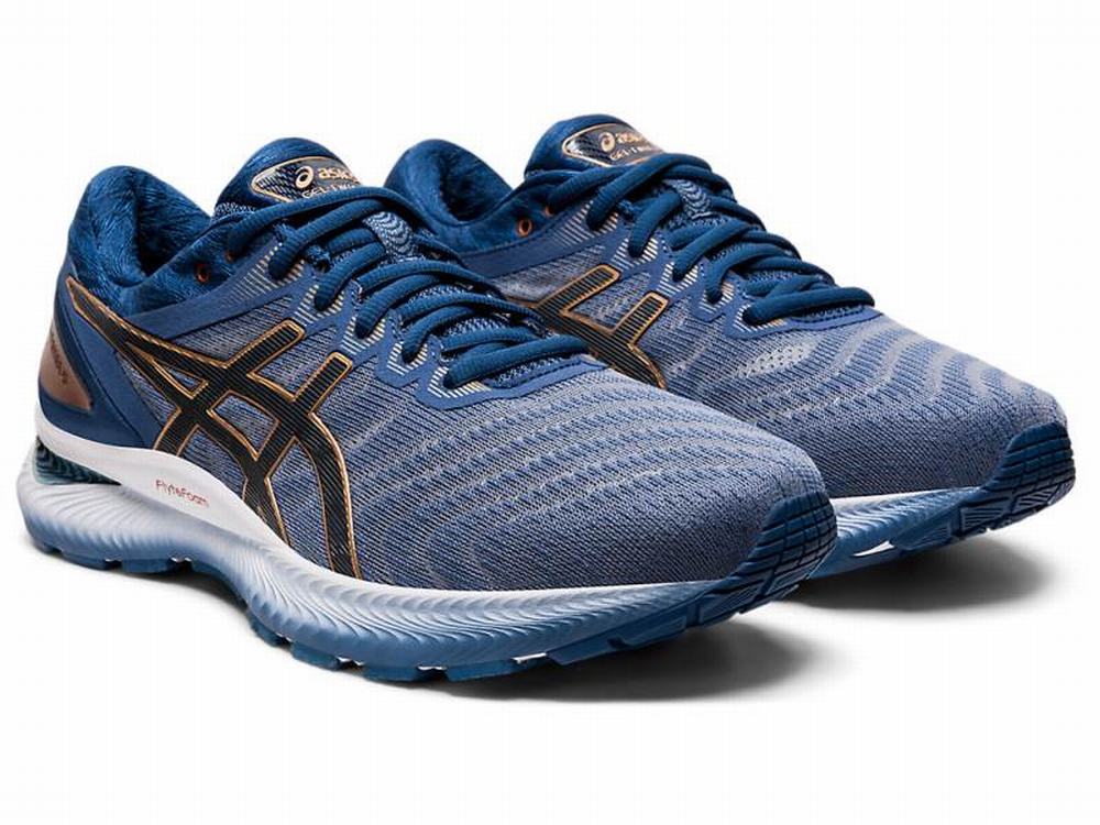 Chaussures Running Asics GEL-NIMBUS 22 (2E) Homme Grise | HRD-218956