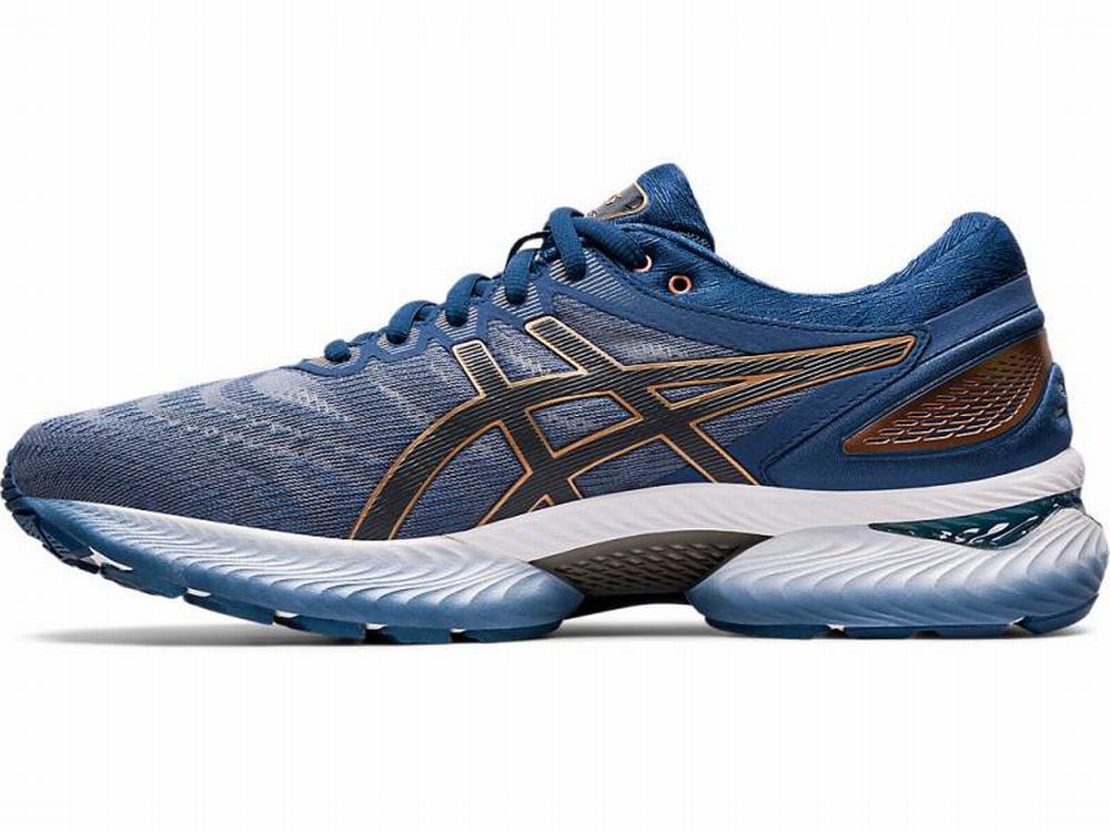 Chaussures Running Asics GEL-NIMBUS 22 (4E) Homme Grise | QDX-071429