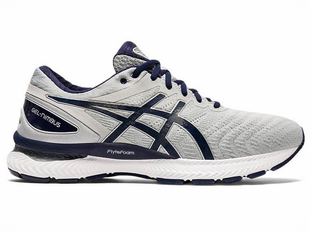 Chaussures Running Asics GEL-NIMBUS 22 Homme Grise Bleu Marine | PFC-043726