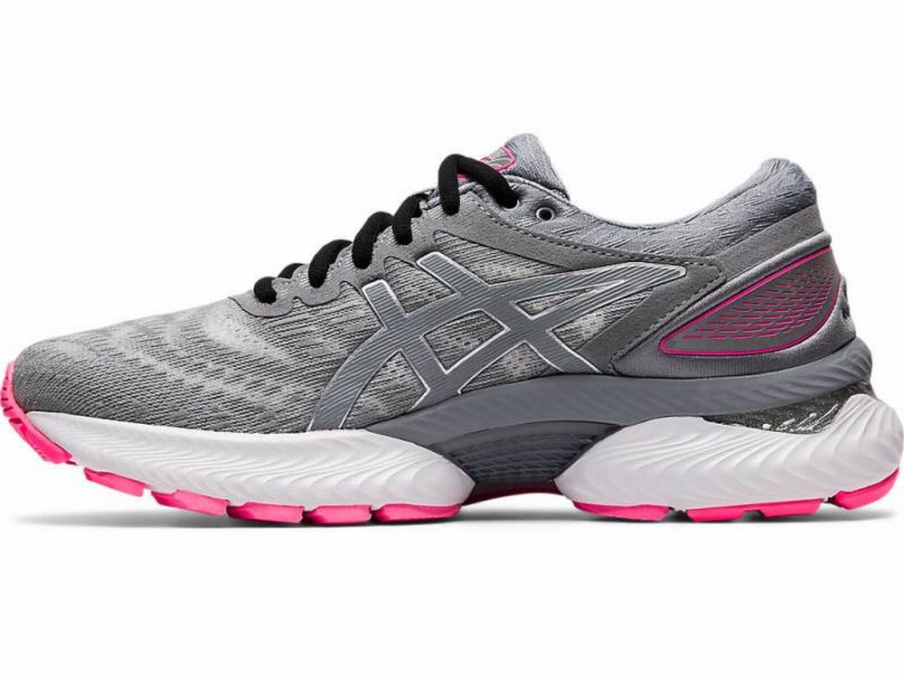 Chaussures Running Asics GEL-NIMBUS 22 LITE-SHOW Femme Grise | IHF-942716