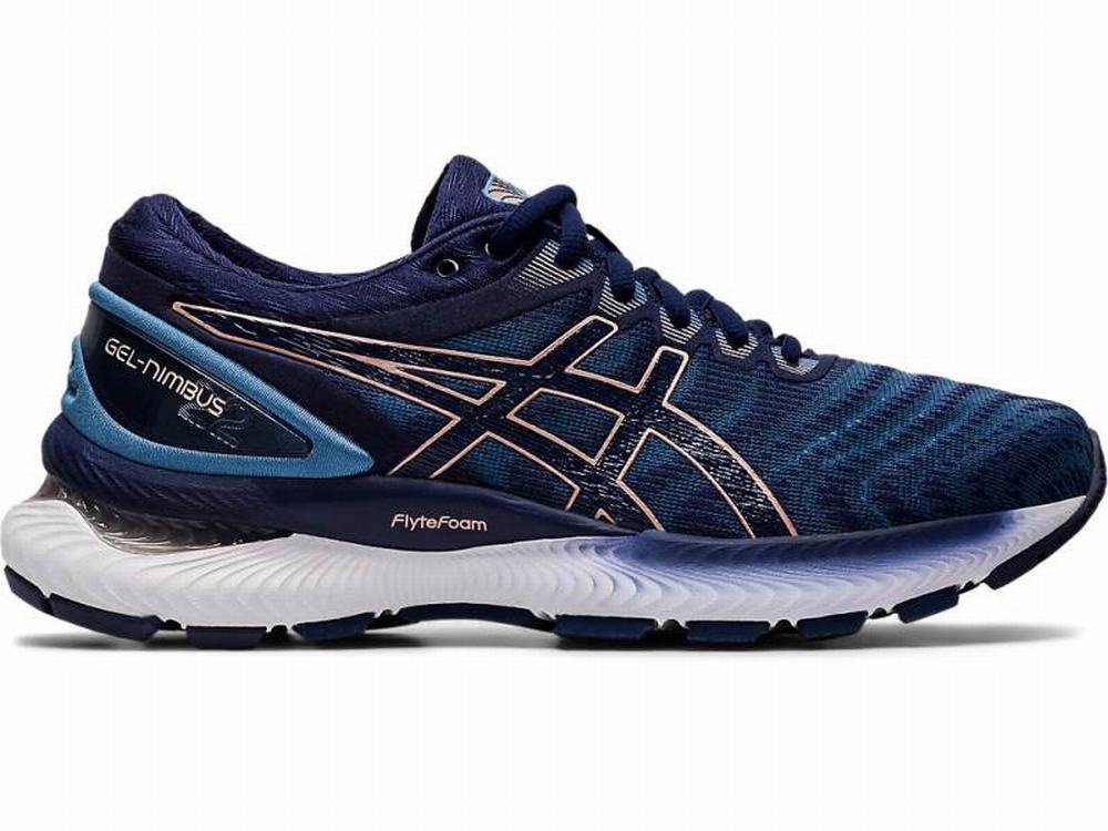 Chaussures Running Asics GEL-Nimbus 22 (D) Femme Grise Bleu Marine | KNB-586093