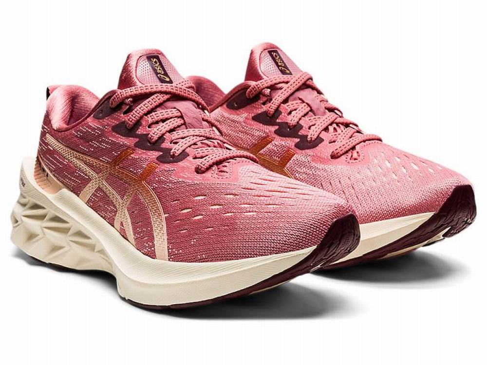 Chaussures Running Asics NOVABLAST 2 Femme Rose | GOB-863594