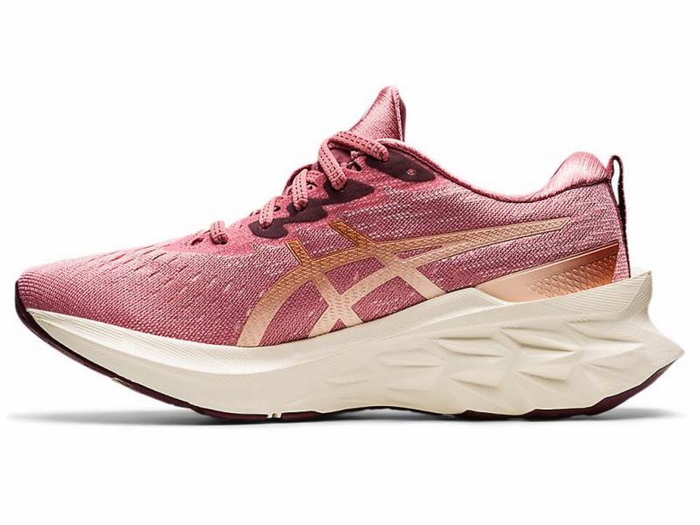 Chaussures Running Asics NOVABLAST 2 Femme Rose | GOB-863594